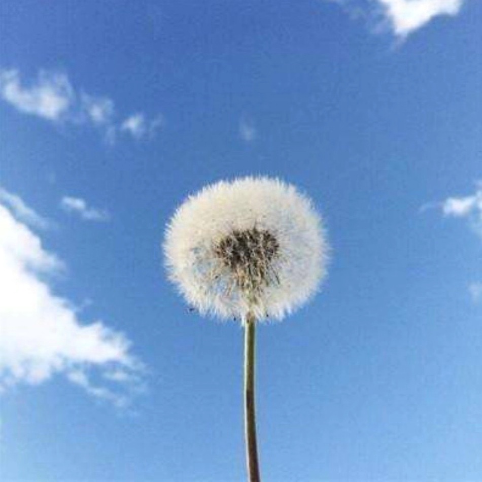 求购二手手机一台，求购二手手机一台，求购二手手机一台，
